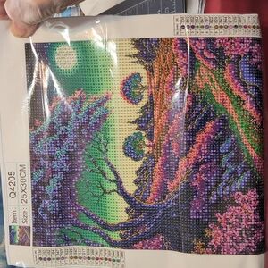 #20 Diamond  Painting Art Set the path